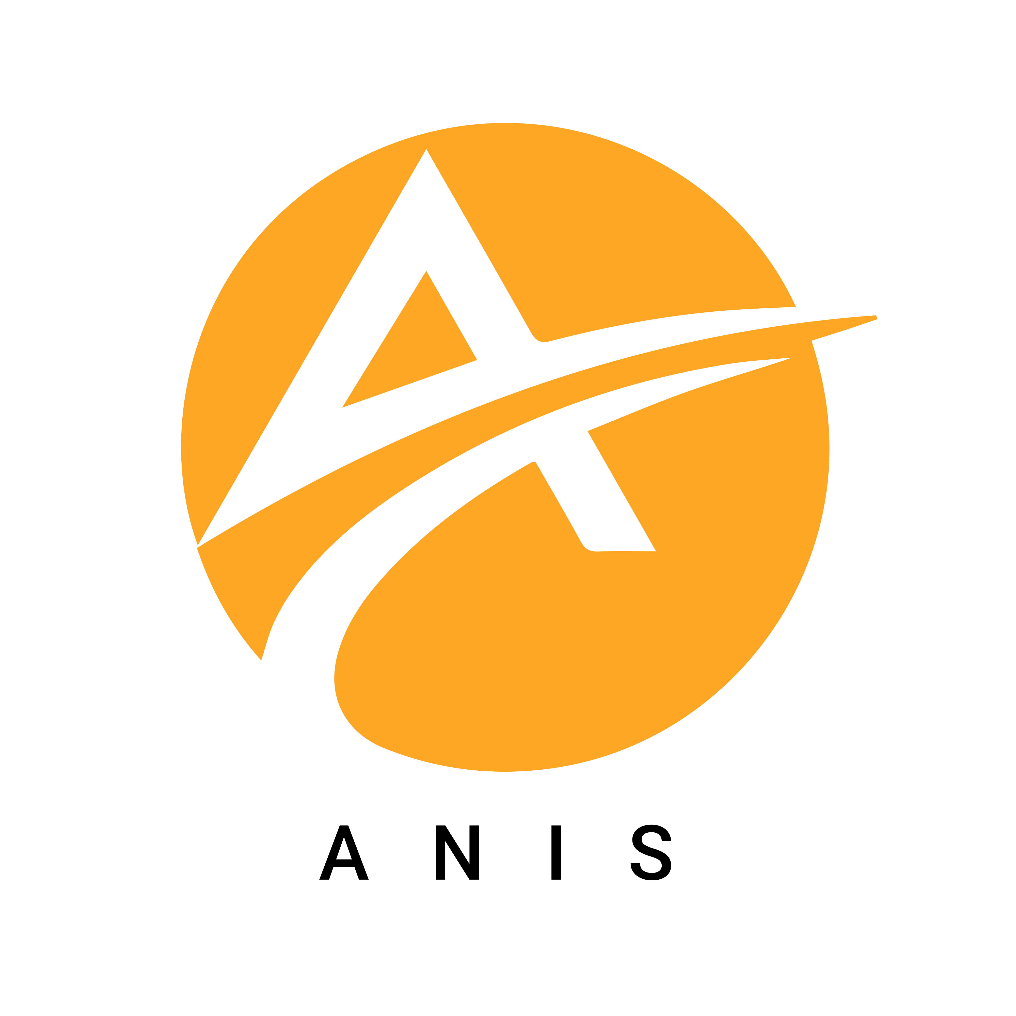 حسابداری آنیس‌ Anis